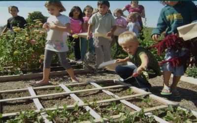 Should Children Be Taught How To Grow Food As Part of Their Schooling?